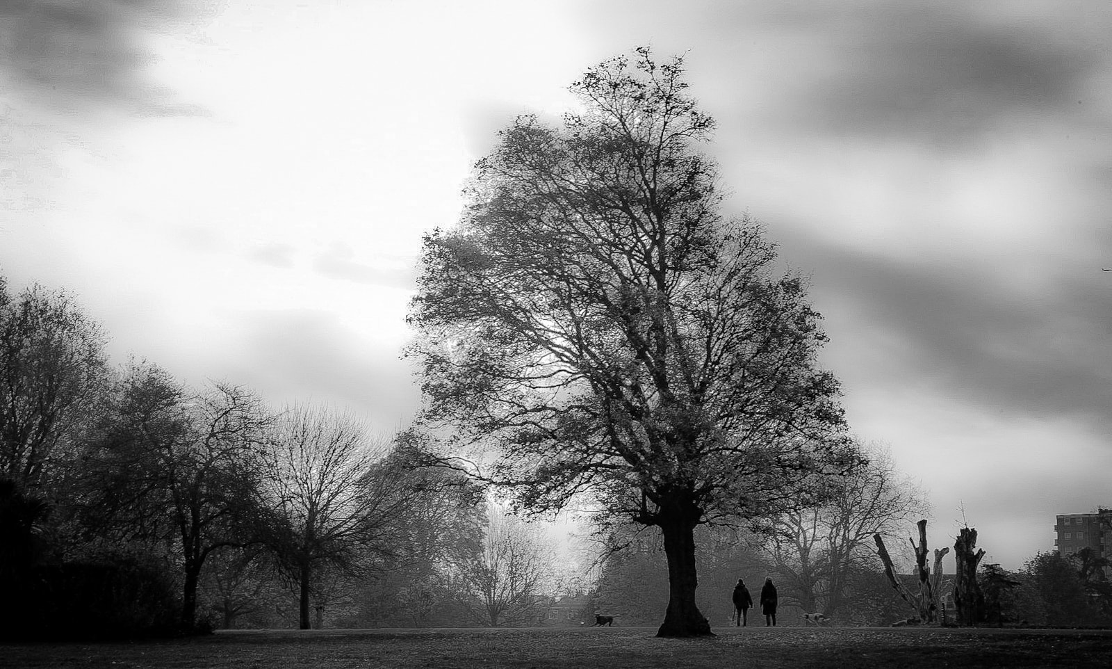 Couple and Dog